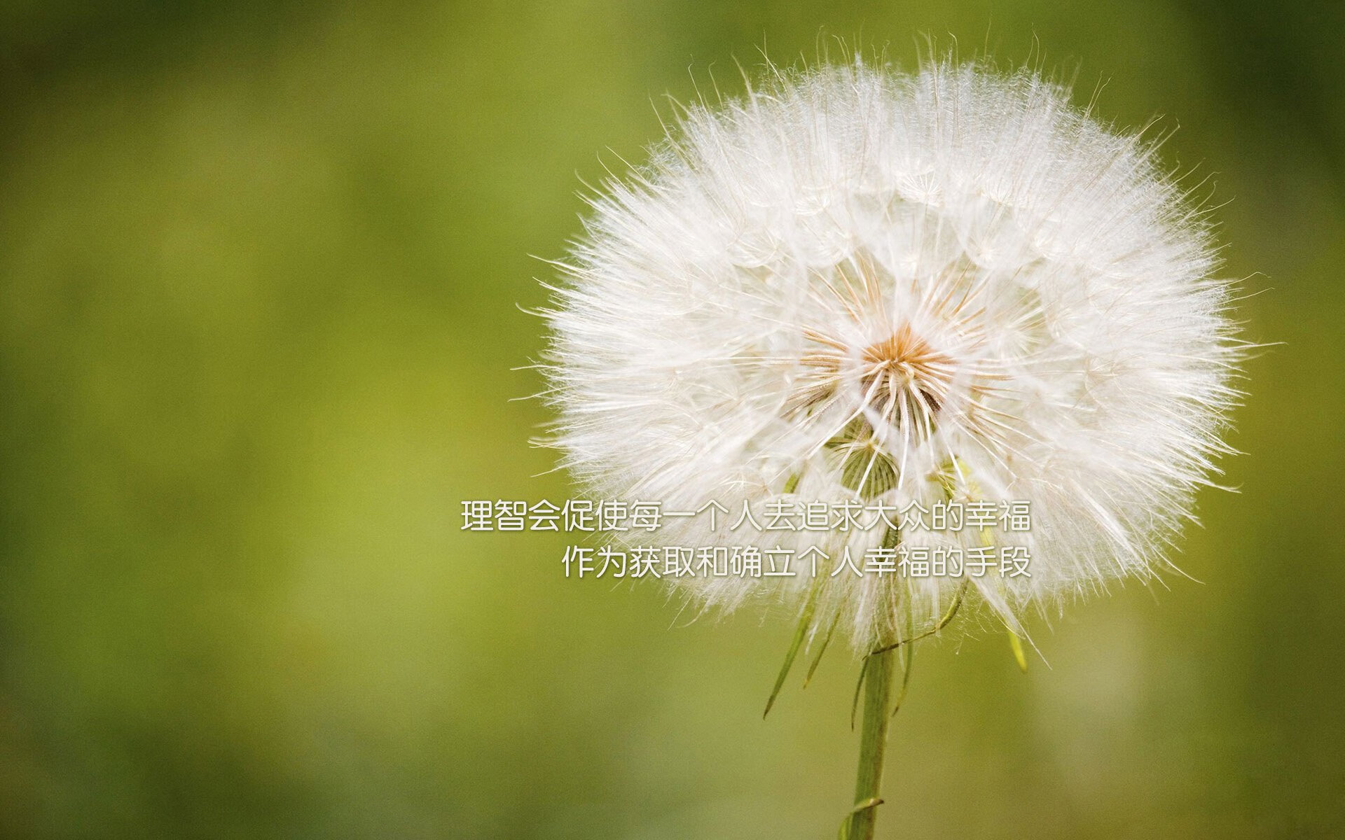 开云体育下载-奥利维耶爆发！塞维利亚客场制霸哥斯达黎加，欧洲豪门展露獠牙