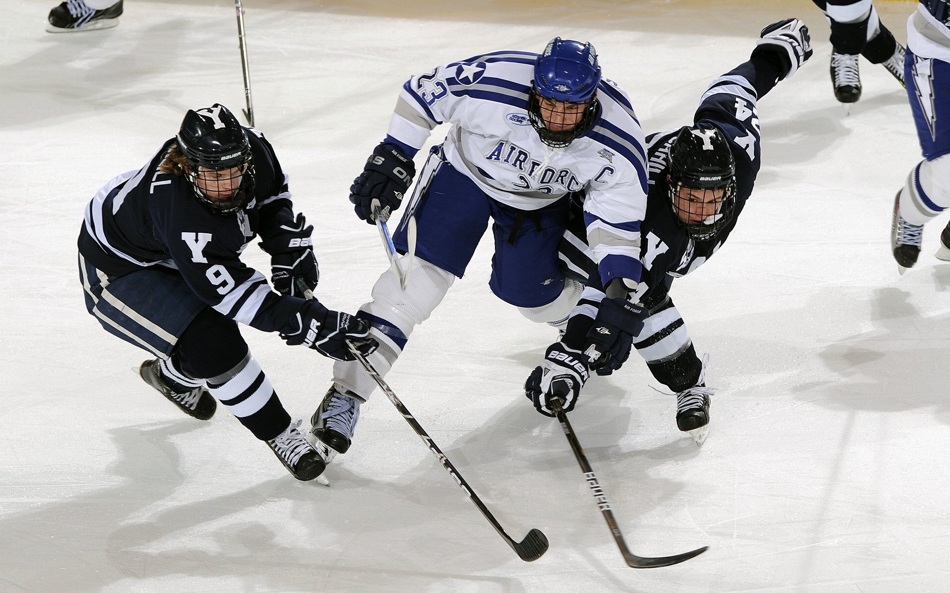 奇才末节逆袭辽宁队,福克斯化身关键先生锁定胜局