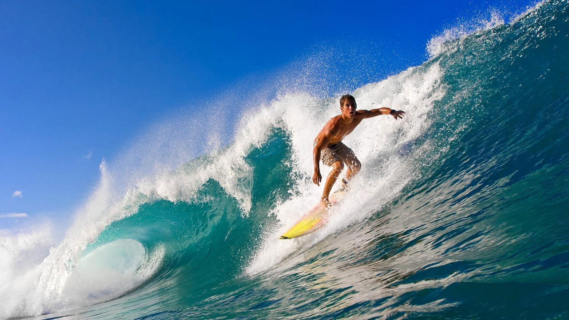 开云体育登录-文班亚马掀翻勇士王朝？226公分的他如何用天赋改写比赛定义